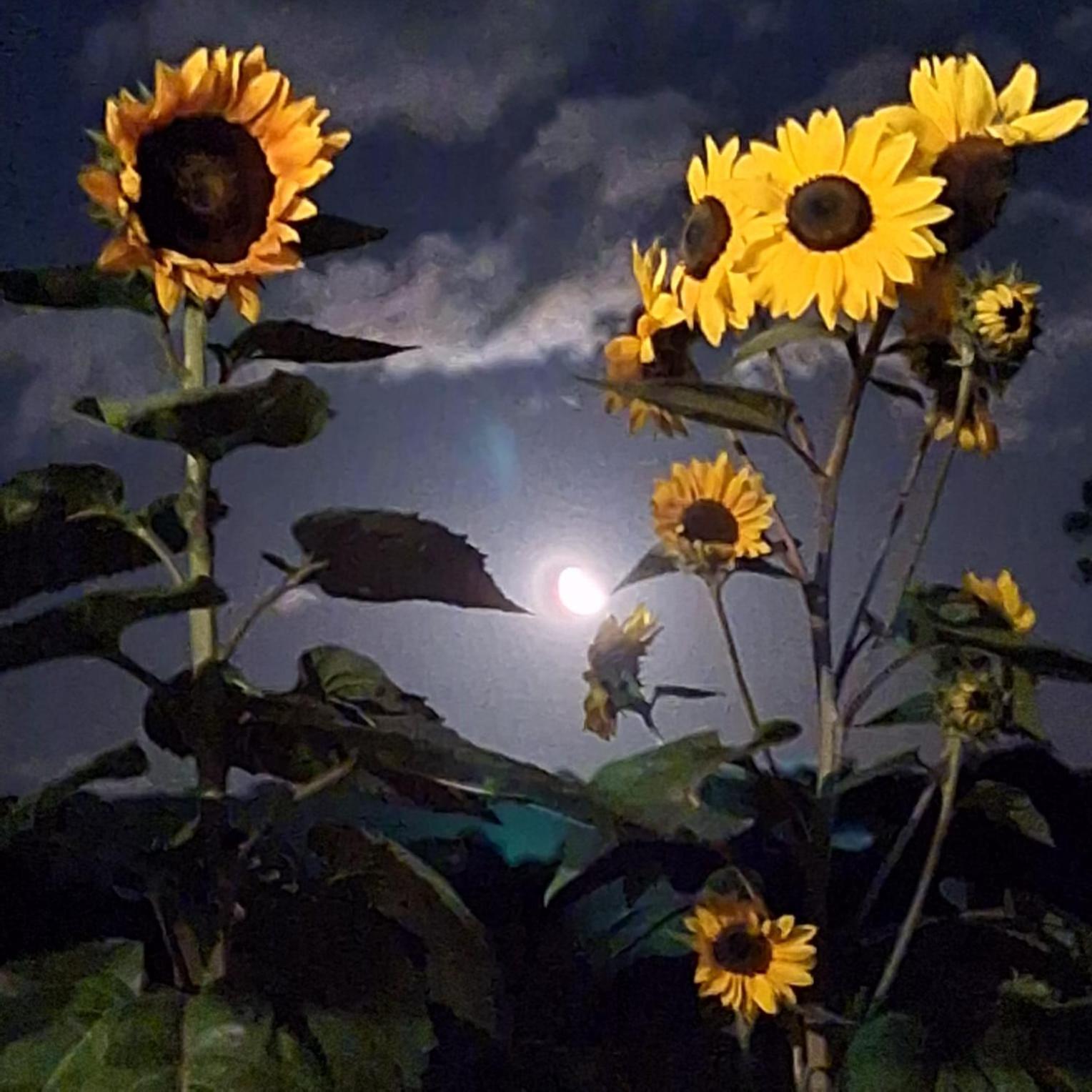 Recanto Dos Passaros 우루비시 외부 사진